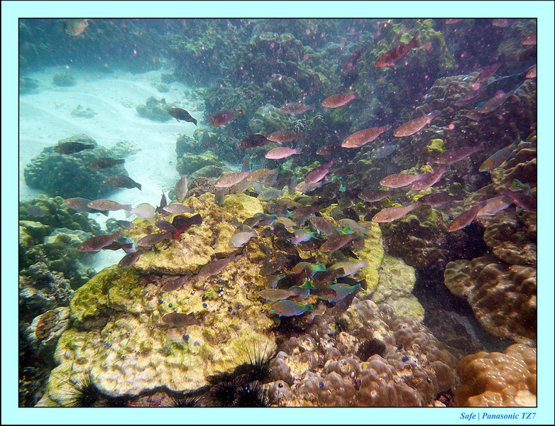 2011 - 07 - Koh Lipe 34